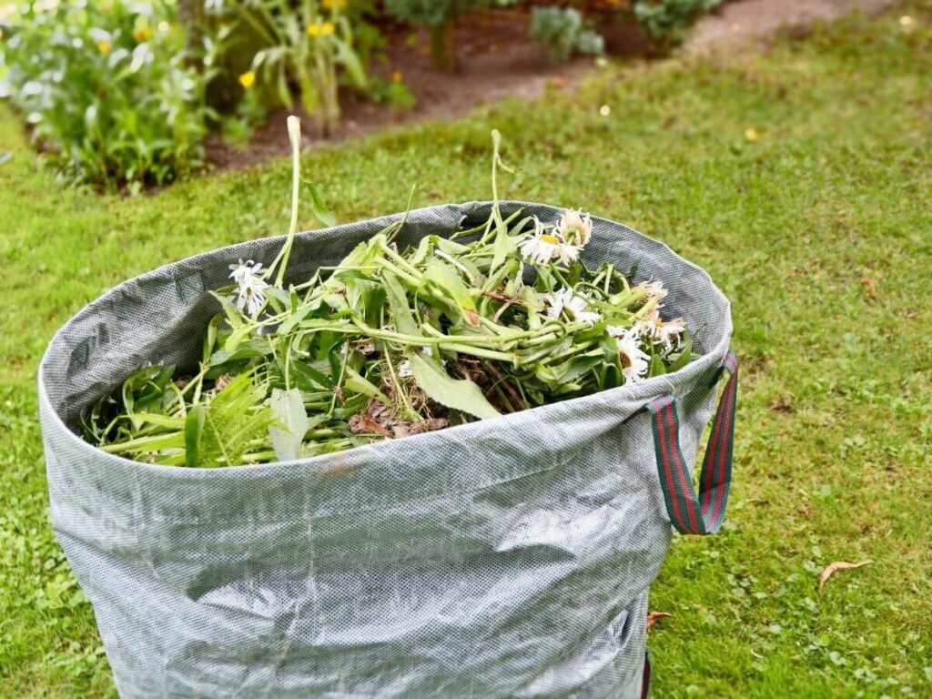 Properly Handle Green Waste