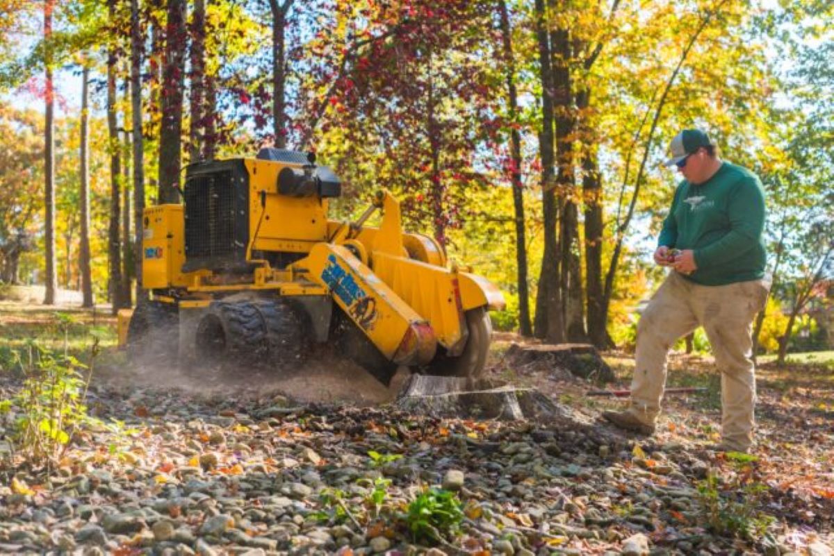 stump grinding