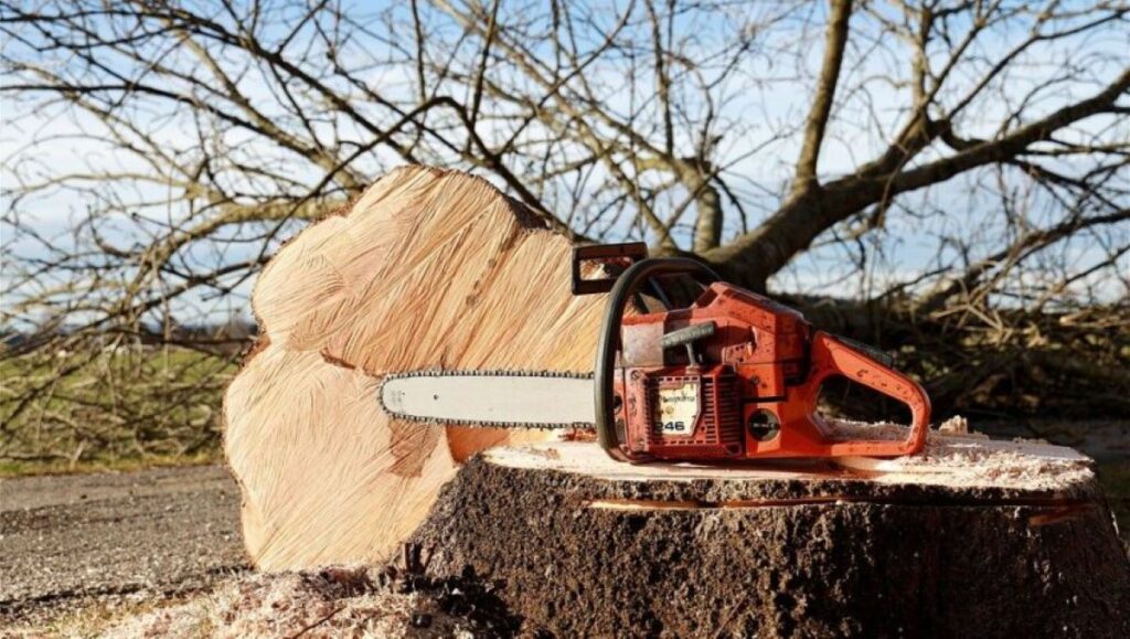 stump grinding